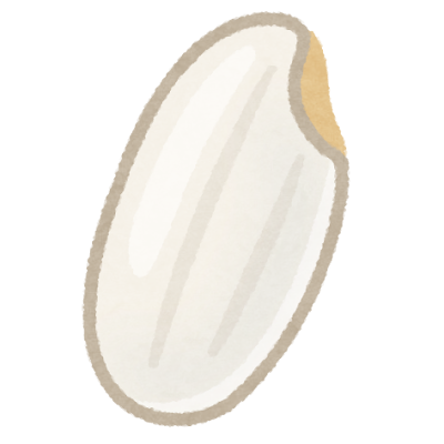 お米 20kg